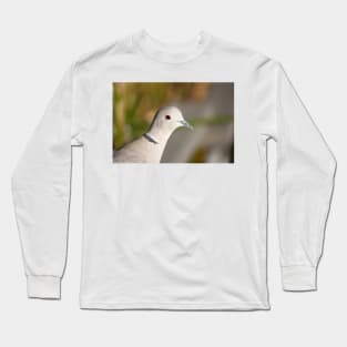 Eurasian collared dove (Streptopelia decaocto) head close-up Long Sleeve T-Shirt